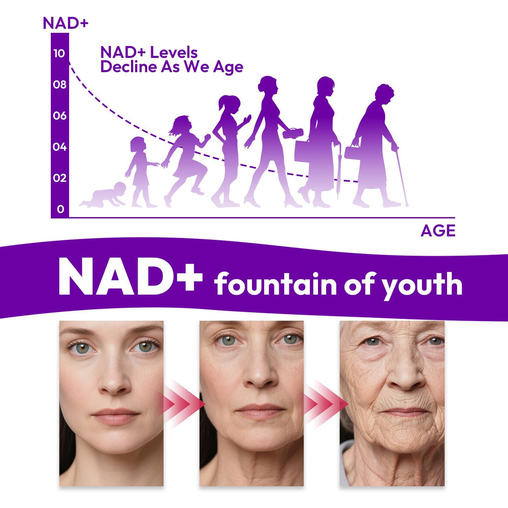 Bualle NAD promotes energy and focus through NAD+-related ingredients.