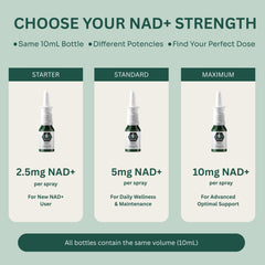 Easy dosing for beginners with Bulk Essentials NAD+ Spray.