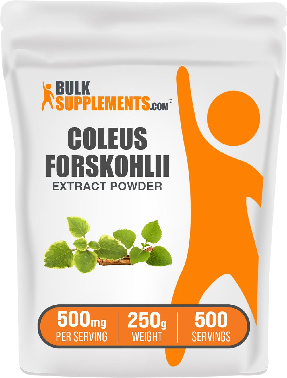 BulkSupplements Coleus Forskohlii extract powder bottle for easy daily use