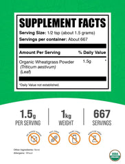 BulkSupplements Organic Wheatgrass Powder scoop showing convenient daily serving