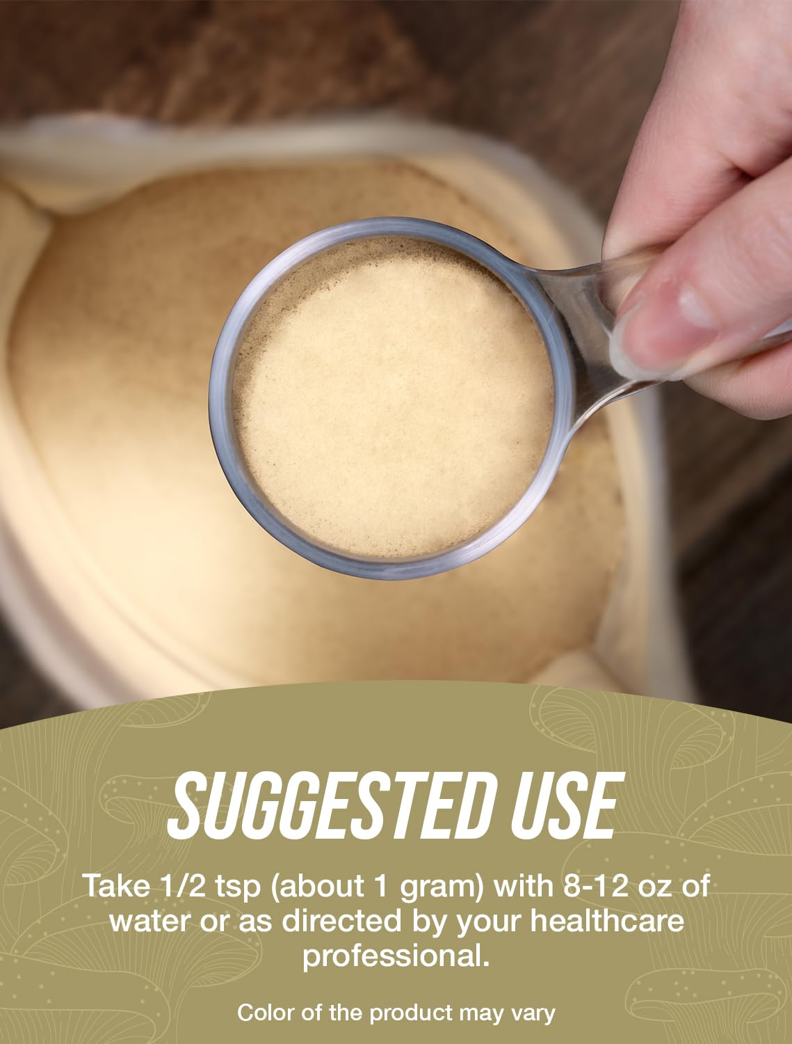 Scoop of BulkSupplements Reishi powder ready for precise measurement.