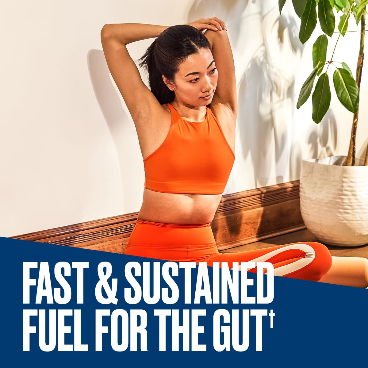 Bulletproof Express 3-in-1 probiotic digest wellness graphic illustrating microbiome support