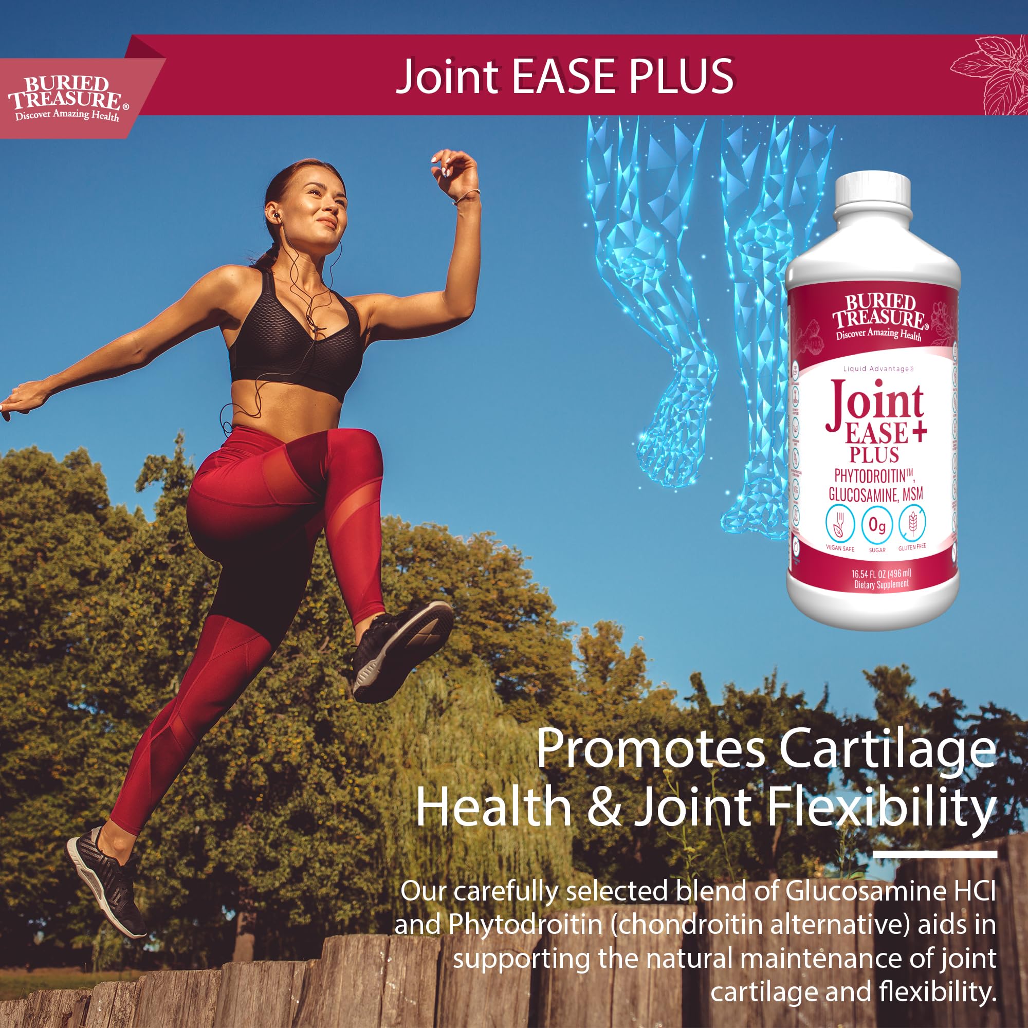 Buried Treasure Joint Ease Plus glucosamine image indicating cartilage support