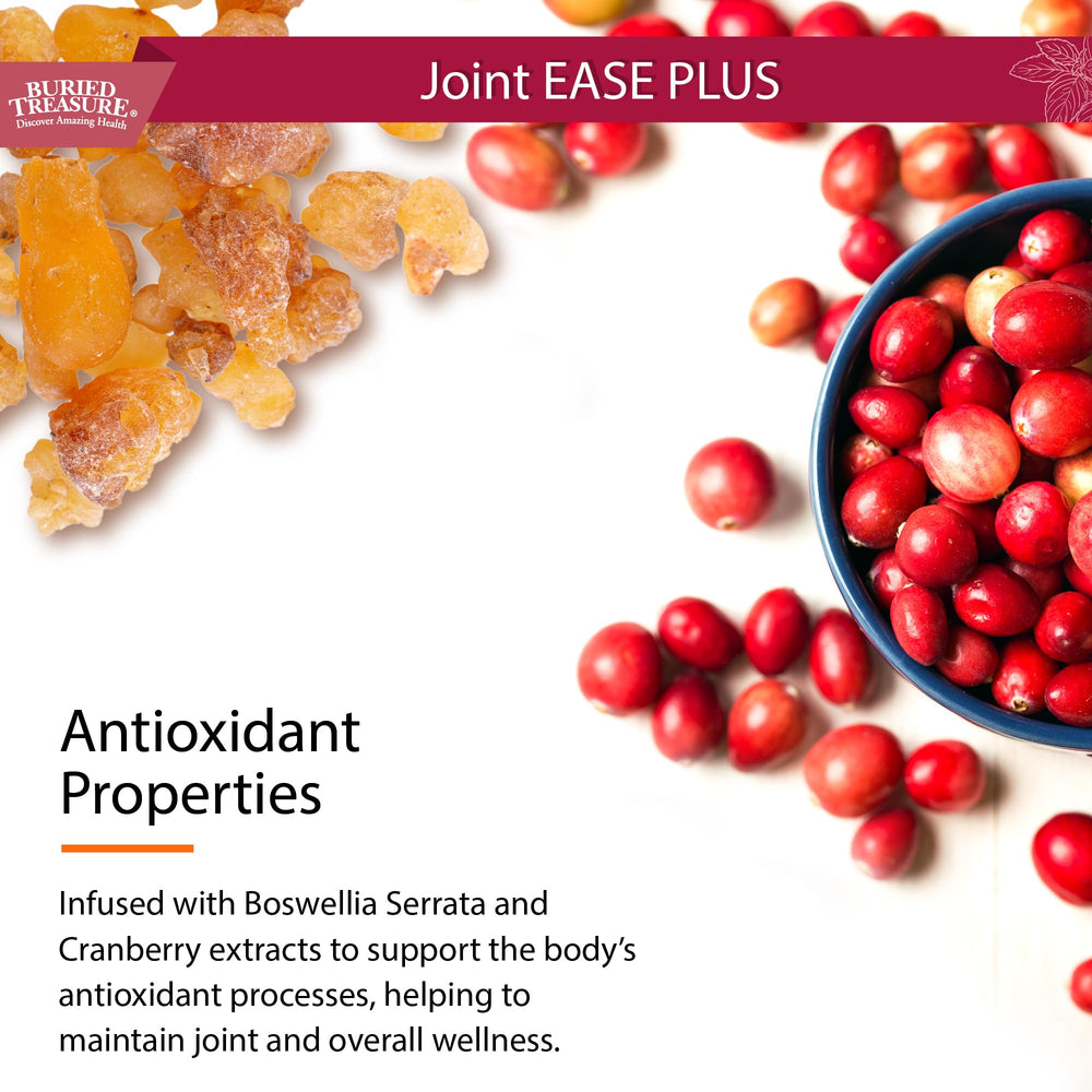 Buried Treasure Joint Ease Plus turmeric symbol for antioxidant blend for daily wellness