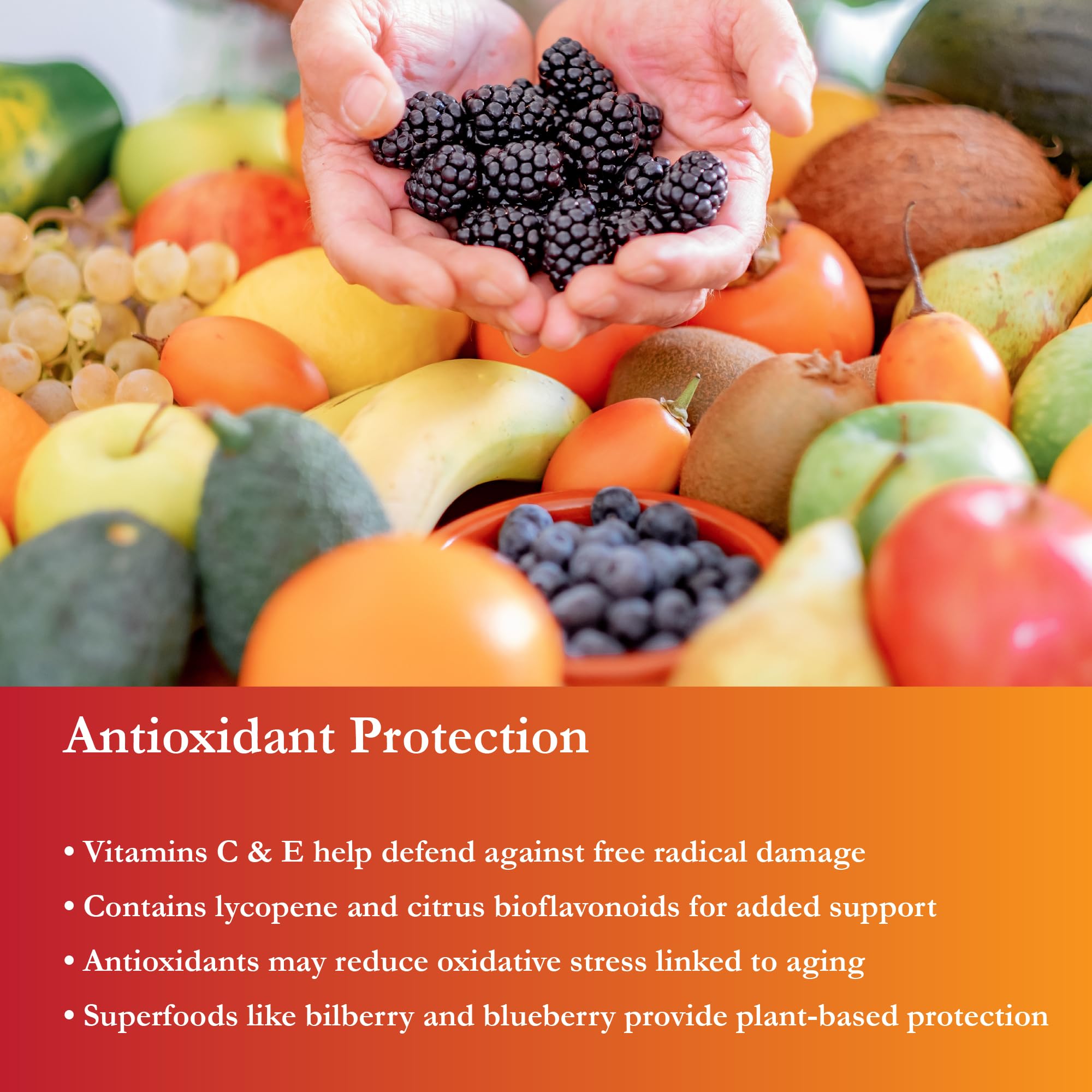 Buried Treasure vitamin D bone support graphic indicates bone health assistance