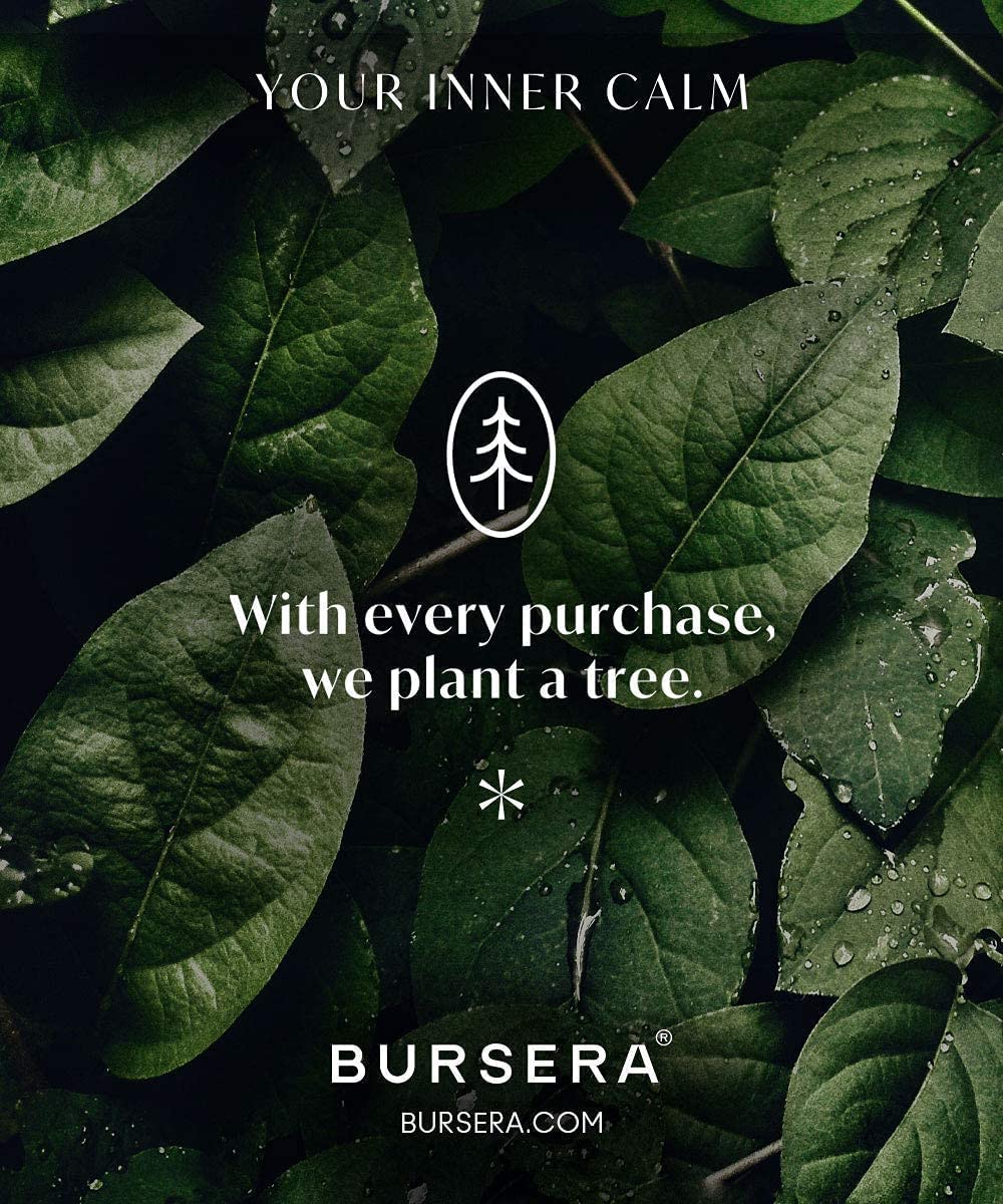 Bursera Tree-planting icon highlighting the order-based reforestation benefit.