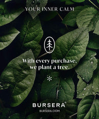 Bursera Tree-planting icon highlighting the order-based reforestation benefit.