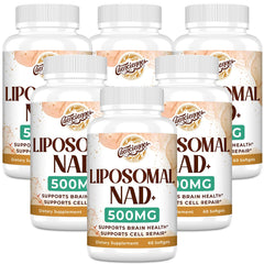 Caenciennes Liposomal NAD+ 500 mg softgels for enhanced cellular energy support.