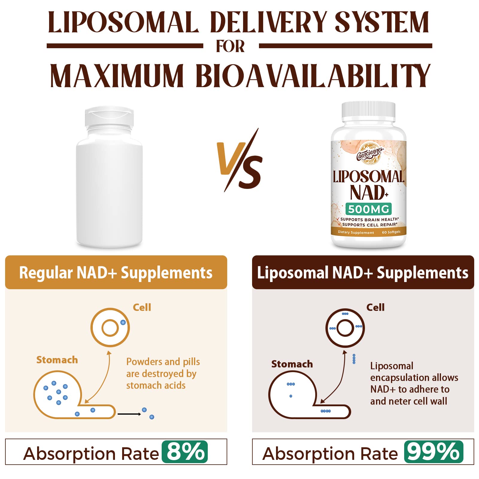 Caenciennes Liposomal NAD+ absorption graphic illustrating advanced delivery.