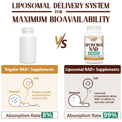 Caenciennes Liposomal NAD+ absorption graphic illustrating advanced delivery.