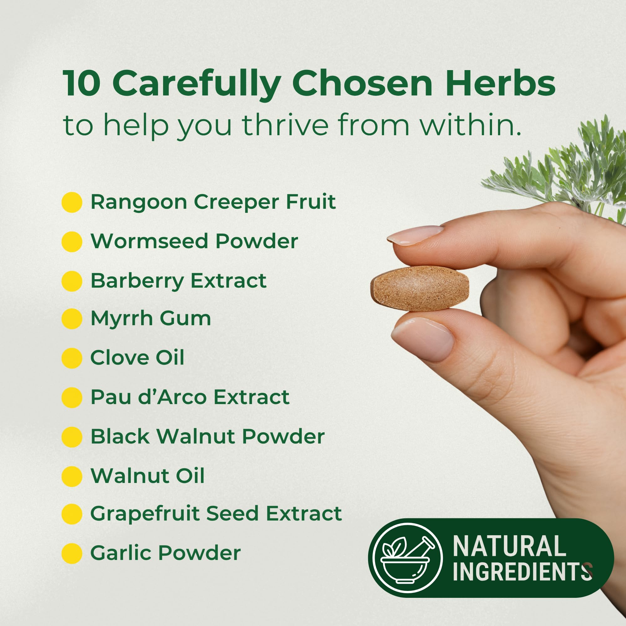 CaliVita ParaProteX plant-based capsules supporting gentle wellness.