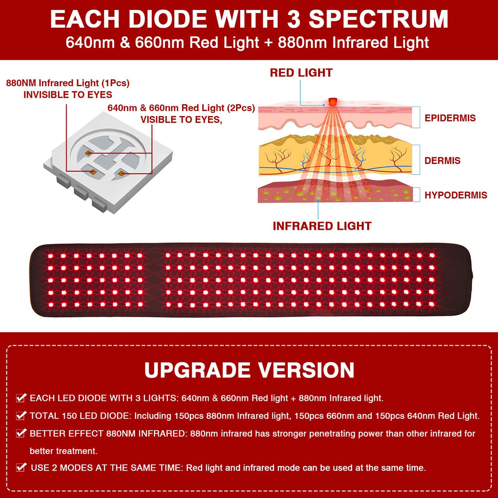 CAMECO six-modes belt presenting versatile therapy options for daily use