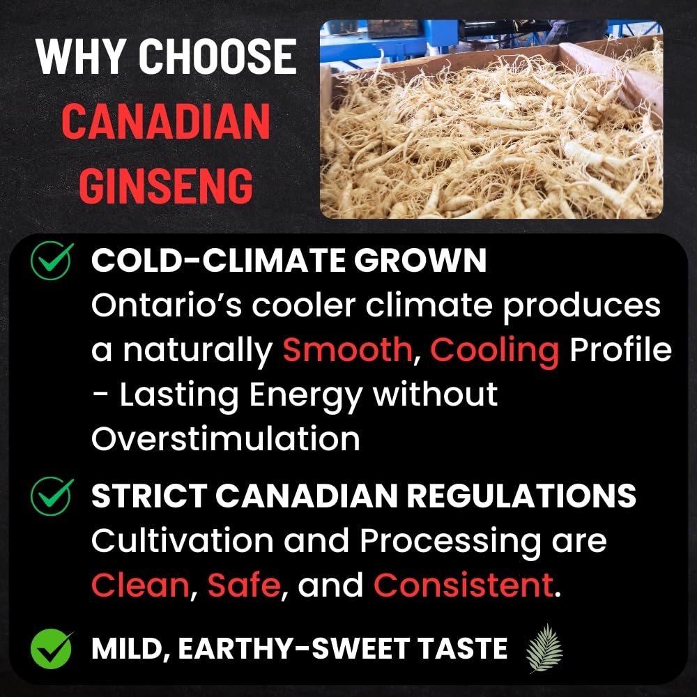Canadian Vita ginseng root from Ontario cold climate supports balanced energy.