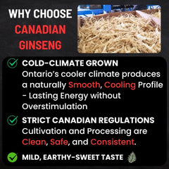 Canadian Vita ginseng root from Ontario cold climate supports balanced energy.