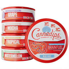 Cannadips Brain Fuel Variety Pack hero image showing all pouches for focus potential