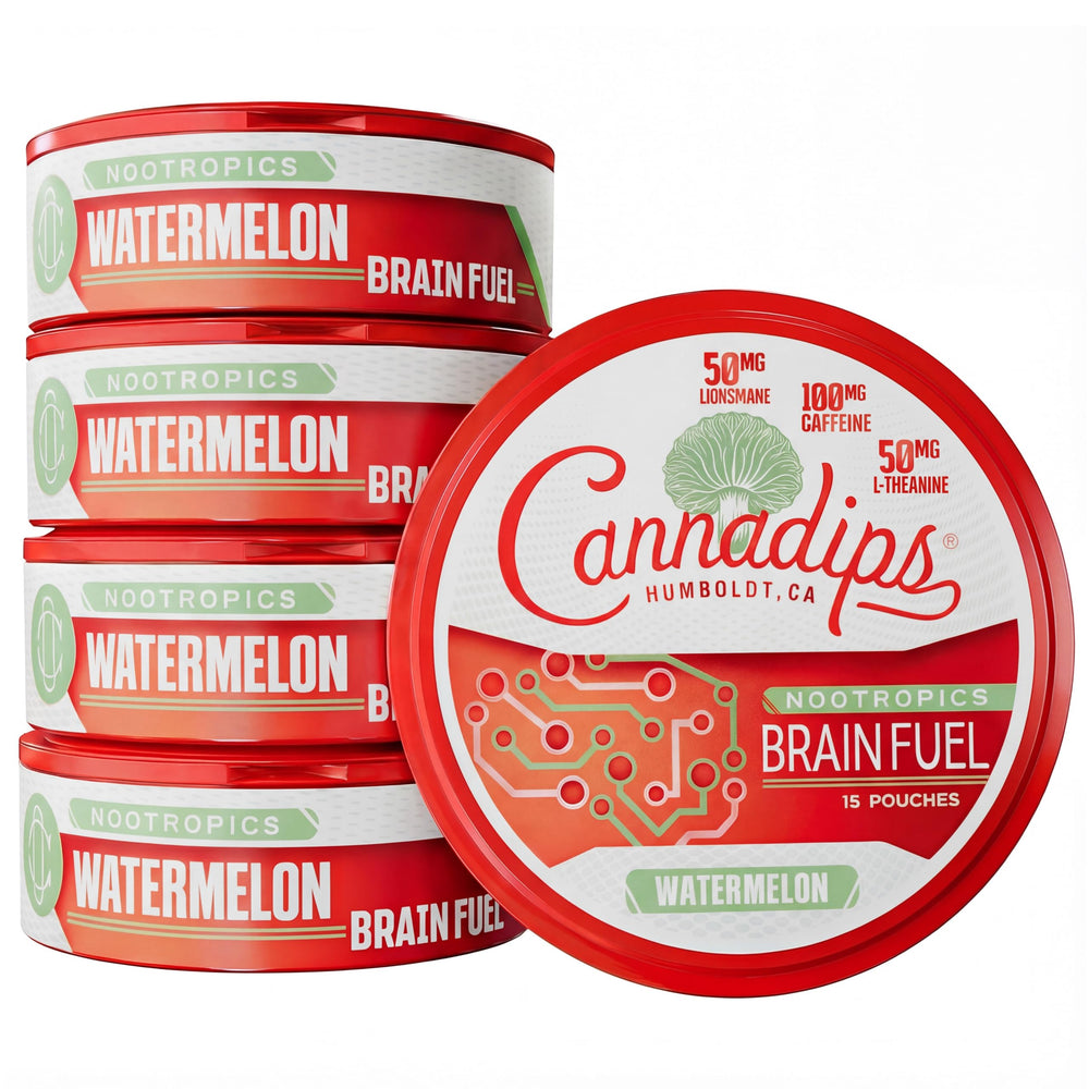 Cannadips Watermelon Energy Pouch front view highlights sugar-free, clean energy for on-the-go focus.