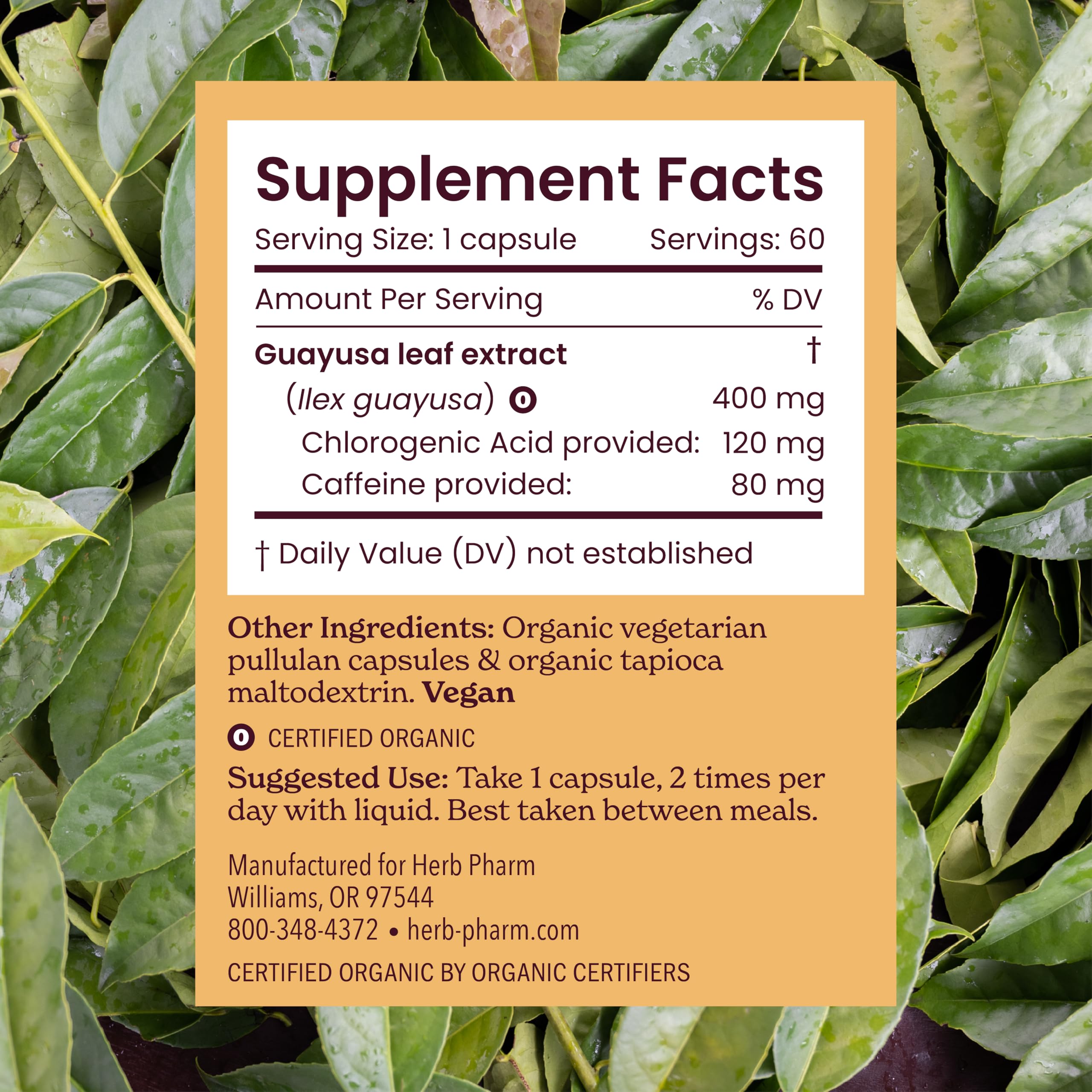 Herb Pharm Guayusa capsule closeup shows caffeine content.