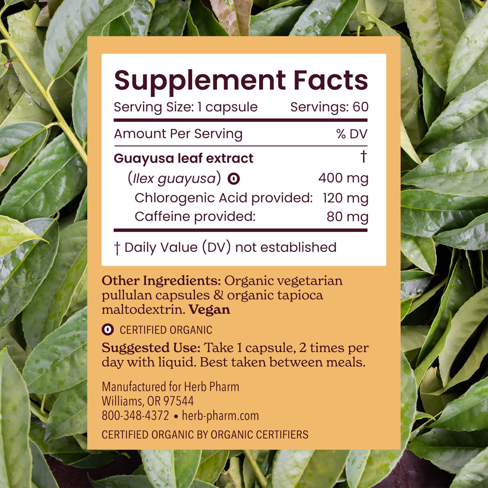 Herb Pharm Guayusa capsule closeup shows caffeine content.