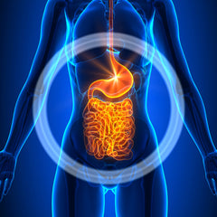 CardioTabs probiotic serving with spoon and measuring cup.