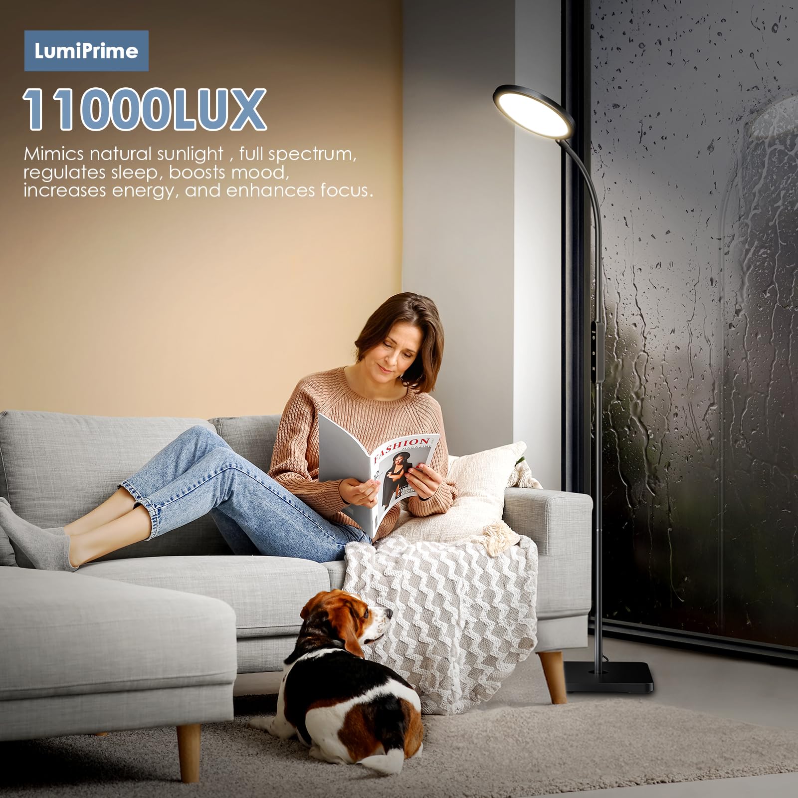 CAREMORR floor-standing lamp design shown in a living room setup without glare