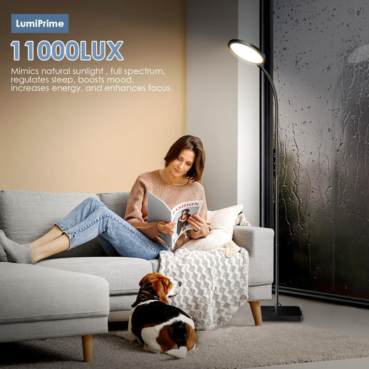 CAREMORR floor-standing lamp design shown in a living room setup without glare