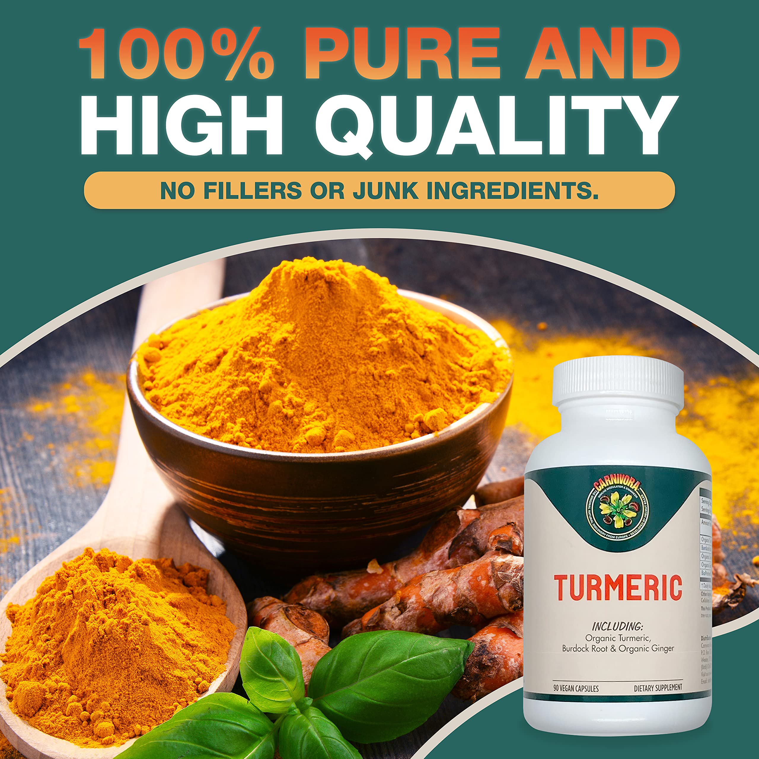Carnivora Turmeric ingredients label showing turmeric, ginger, burdock, and black pepper.