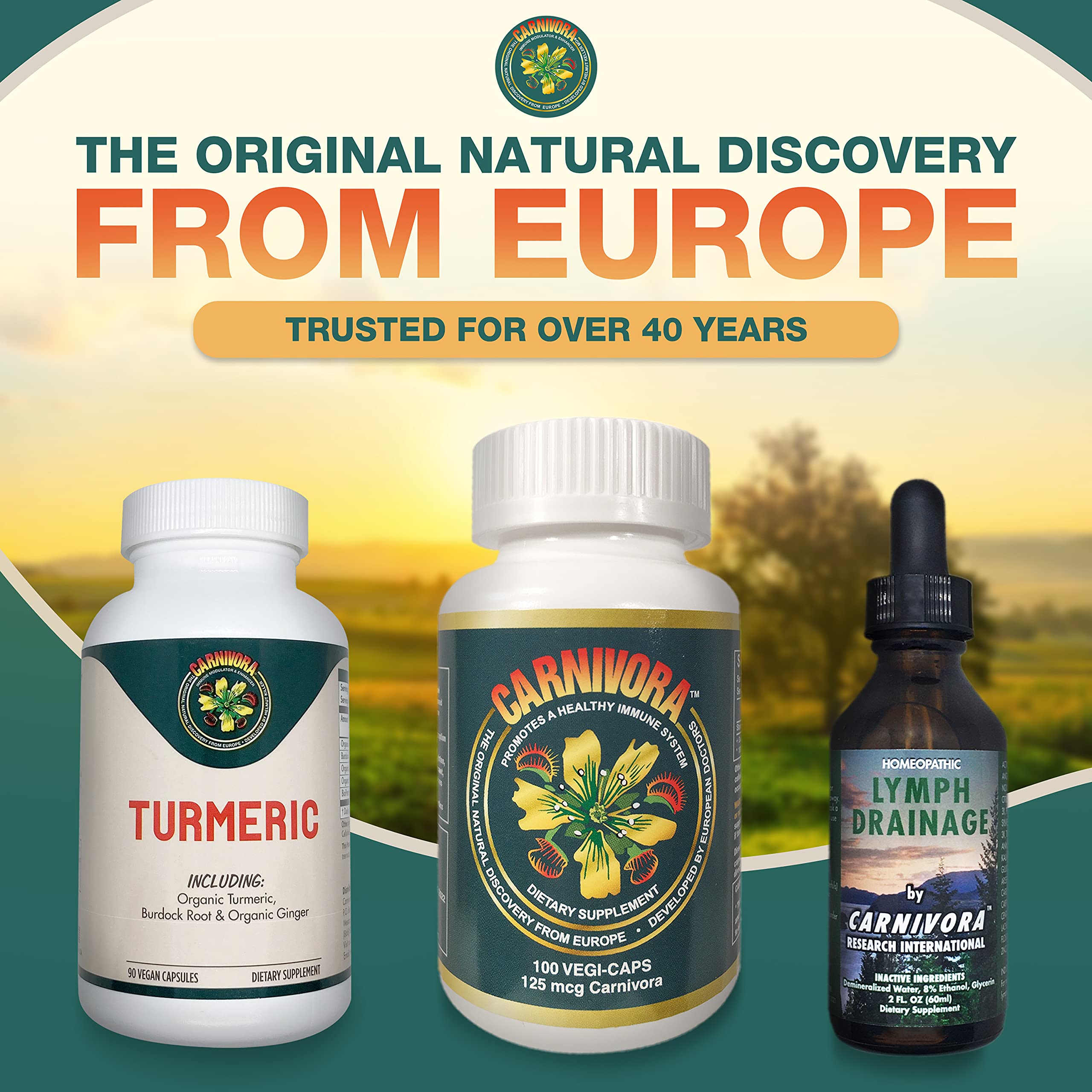 Carnivora Turmeric vegan capsules highlighted for joint and gut support.