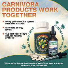 Carnivora Vegi-Caps vegan gluten-free status appeals to mindful shoppers