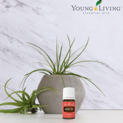 Carrot Seed Oil 5 ml bottle promoting a healthy glow and nourished skin.