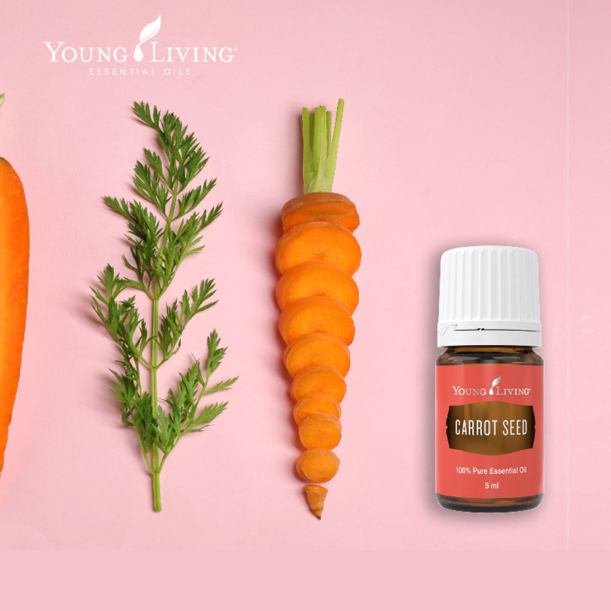 Carrot Seed Oil 5 ml for nourishing, softer complexion and radiant tone.