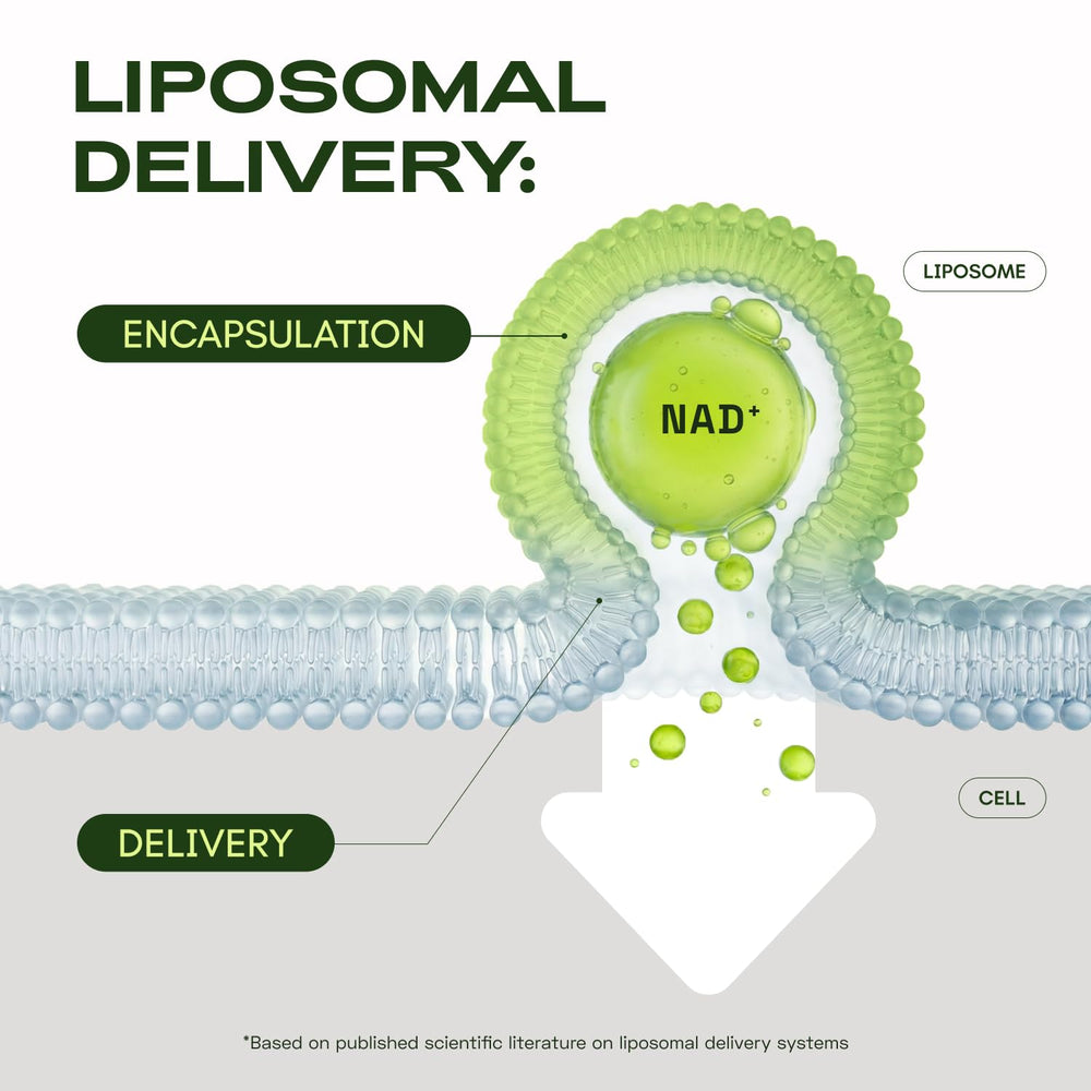 Cata-Kor Liposomal NAD made in USA seal