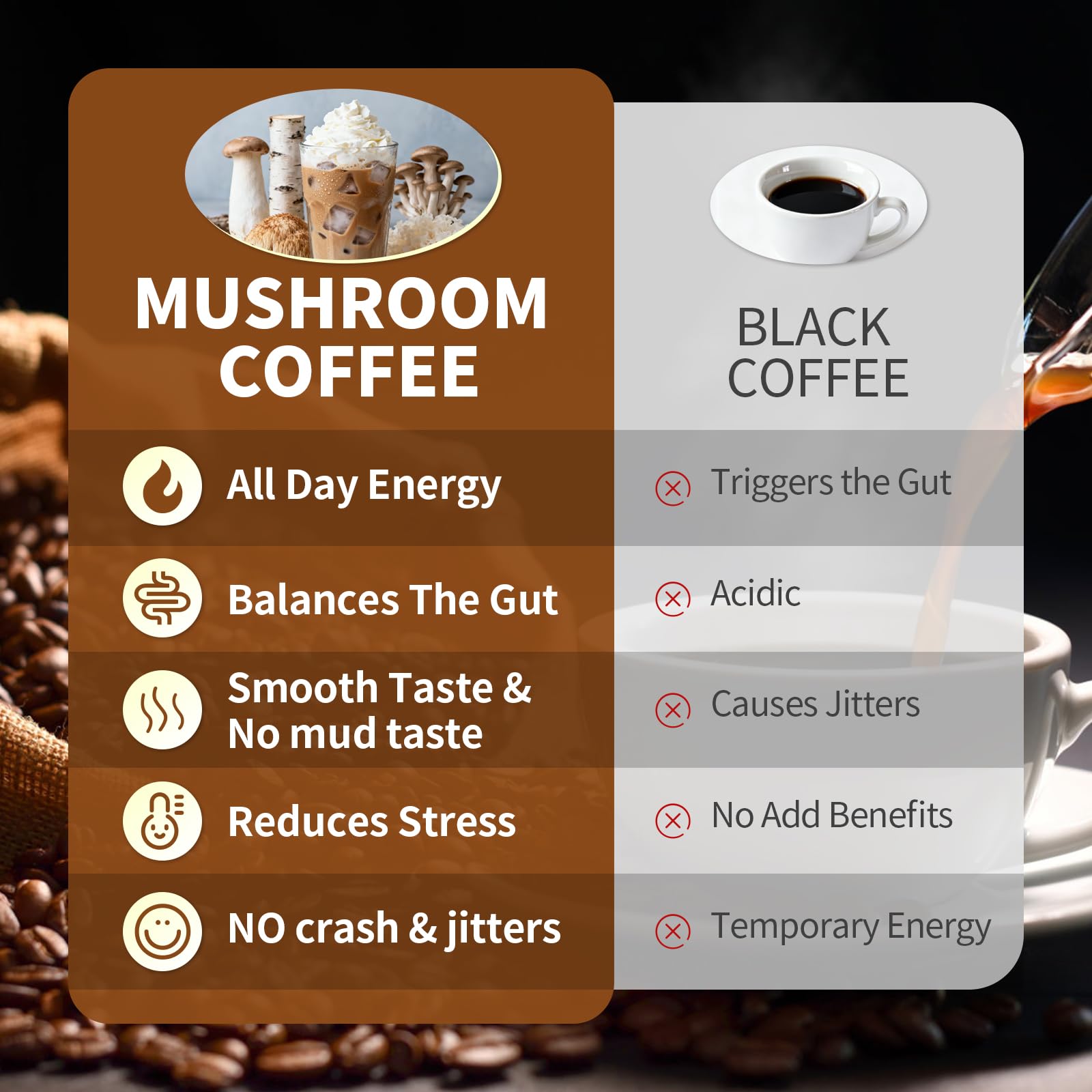 Catfit 10-in-1 mushroom complex close-up highlighting the blend.