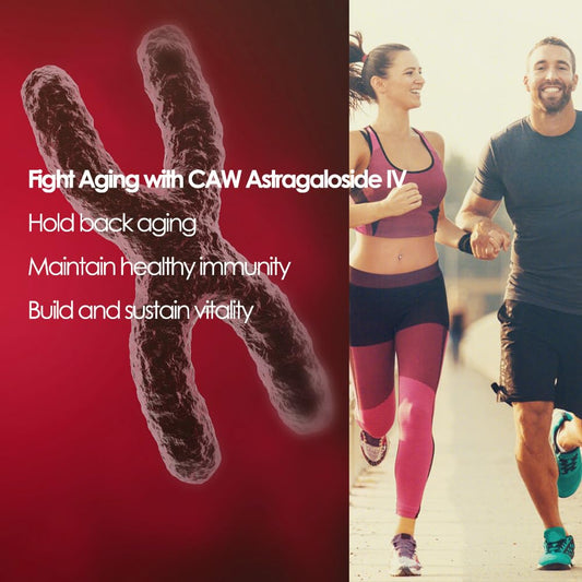 Close-up of CAW Astragaloside IV capsule highlighting enteric coating for bioavailability.