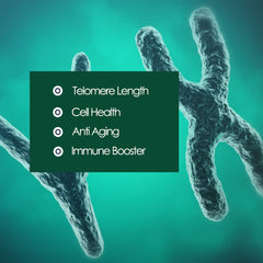 CAW Telomere Supplement capsules close-up: tiny enteric-coated pills.