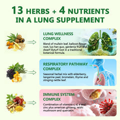 Mullein leaf extract visual from C Calthorvitana Liposomal Lung Cleansemax