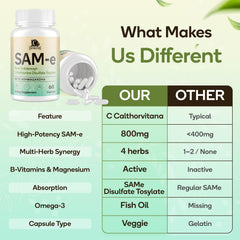 C Calthorvitana rhodiola capsules illustrate botanical energy blends.