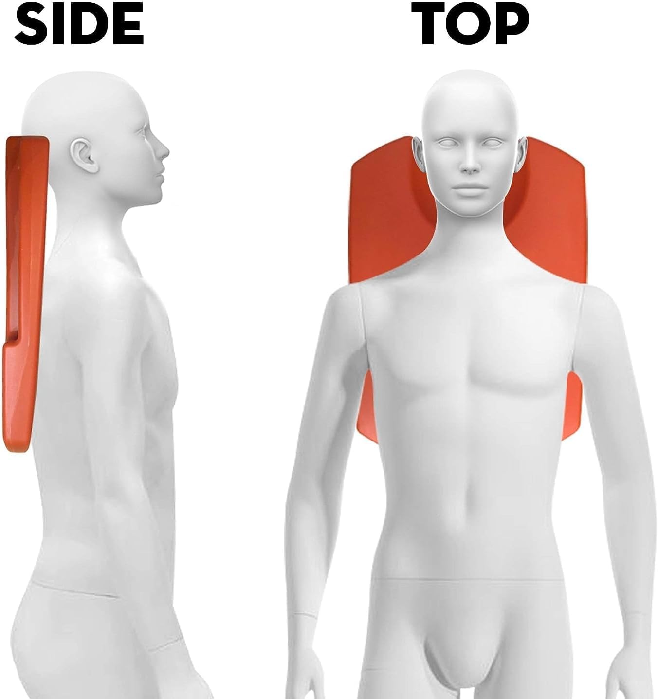 CCDXD CPR Board blue with head cup design for airway access during CPR.