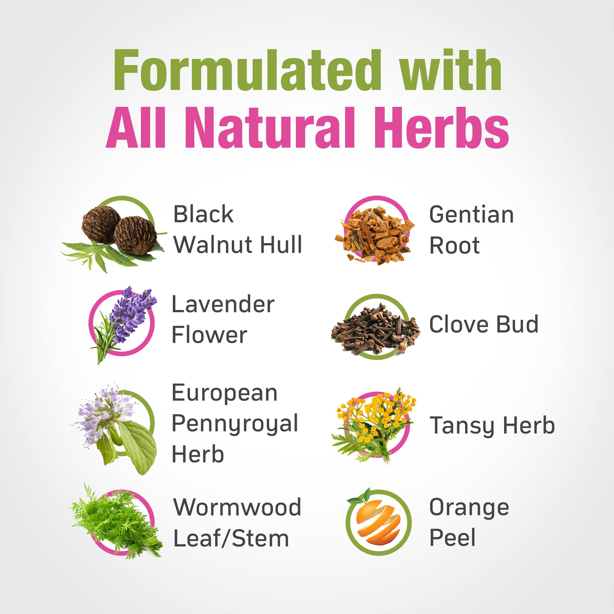 Cedar Bear natural ingredient blend featuring herbs for a gentle cleanse