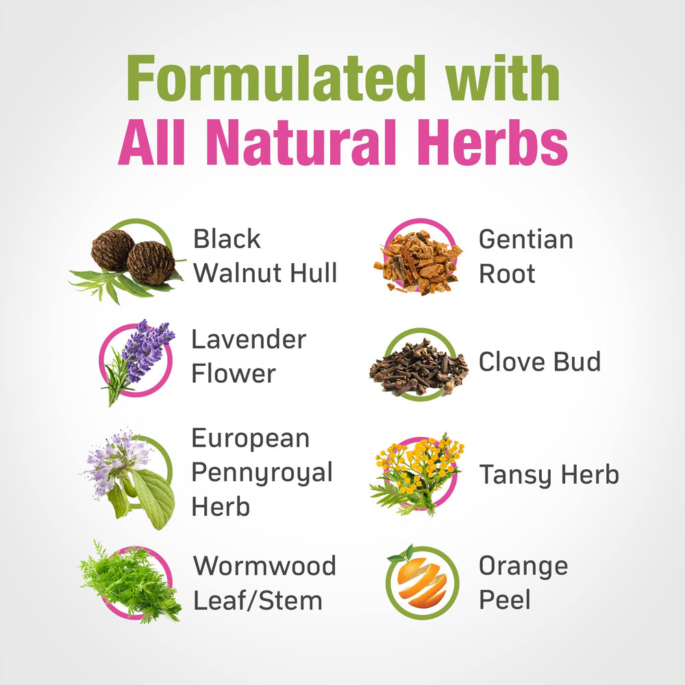Cedar Bear natural ingredient blend featuring herbs for a gentle cleanse