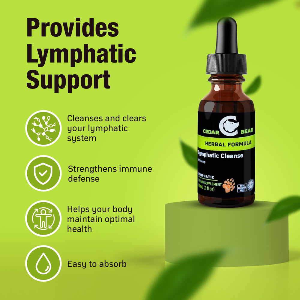 Cedar Bear Naturales immune-support drops shown ready for daily routine