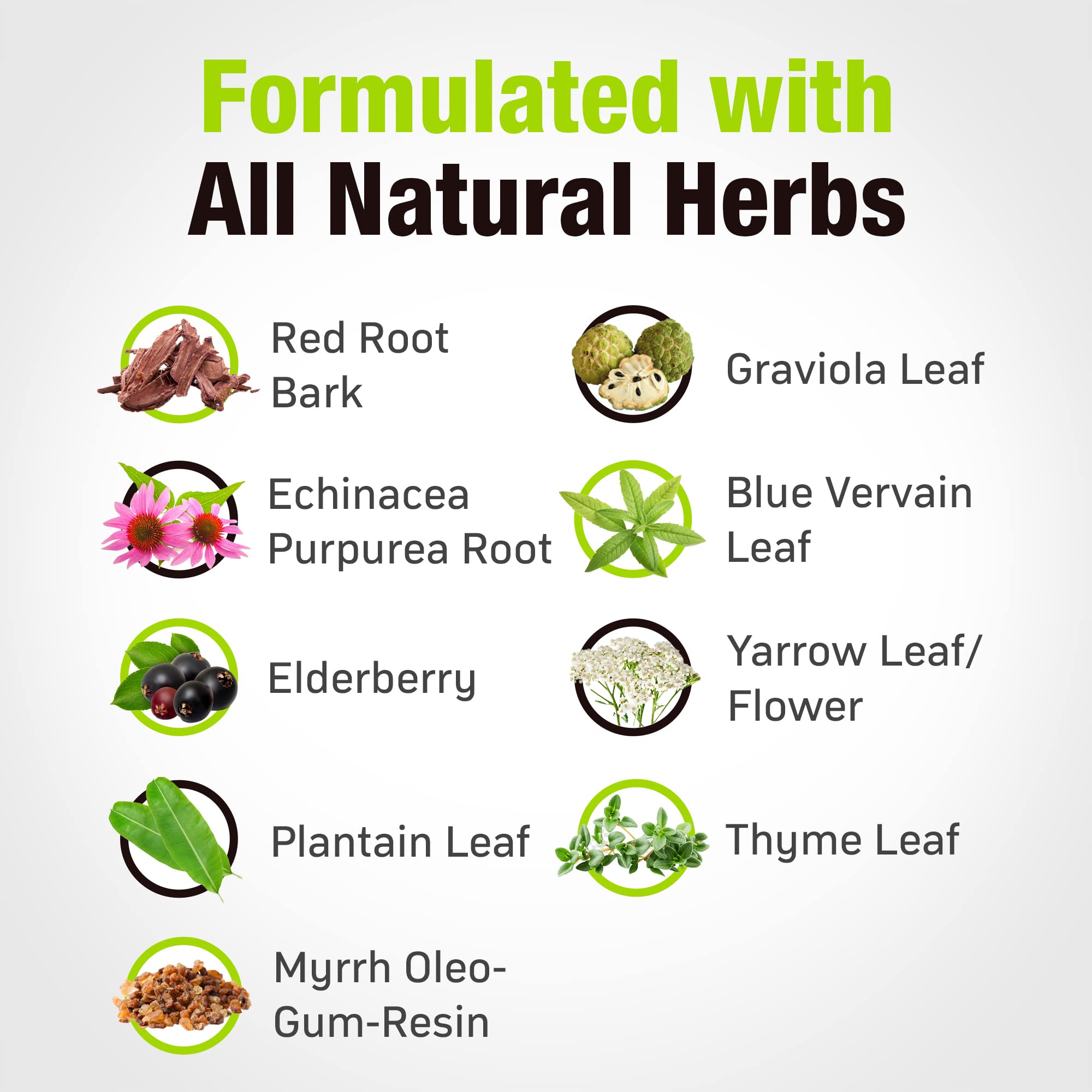 Cedar Bear Naturales red root bark and herbs close-up for natural detox support