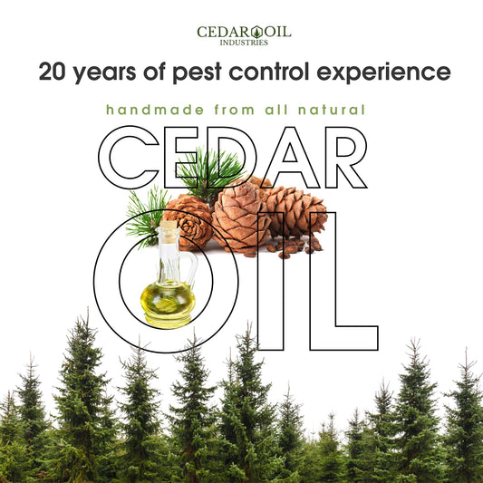 Evictor spray mist on surface provides fast cedarwood defense at home.