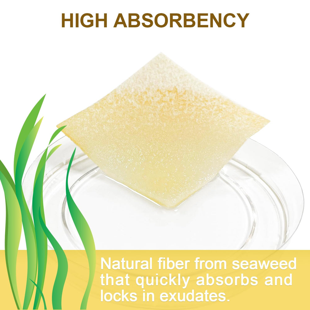 Ceeport Manuka Honey dressing on wound demonstrates moist environment suitability