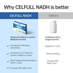 NADH bottle on kitchen counter signals clean energy without jitters