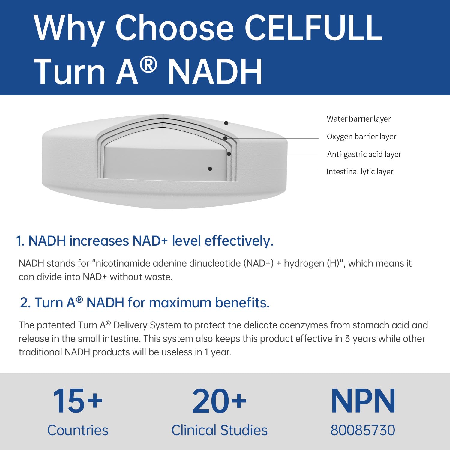CELFULL NADH capsules easy to swallow for daily energy