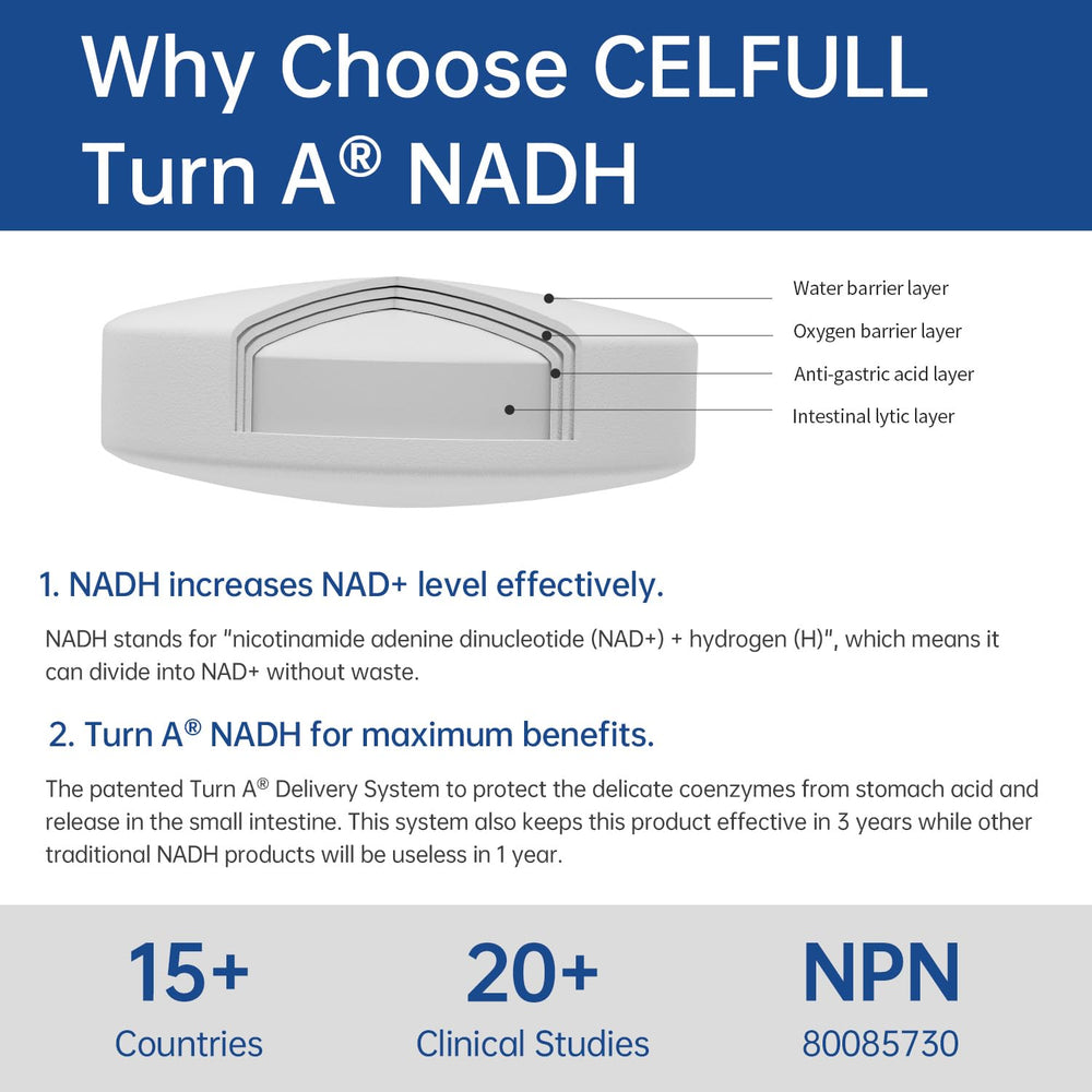 CELFULL NADH capsules easy to swallow for daily energy