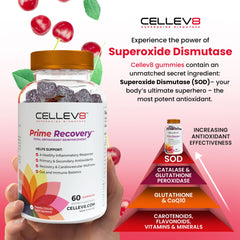 Cellev8 Prime Recovery SOD and eight antioxidants ingredients close-up for cellular health.
