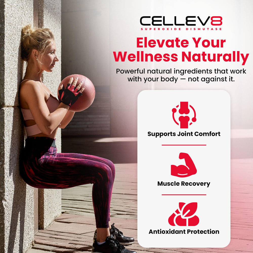 Cellev8 Prime Recovery pack shot highlighting 60 gummies for easy daily use.