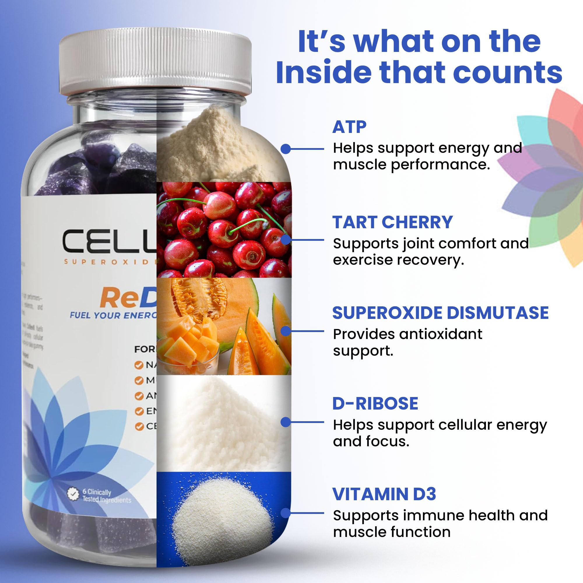 Cellev8 ReDrive gummies with Fibersol-2 prebiotic fiber on kitchen counter
