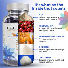 Cellev8 ReDrive gummies with Fibersol-2 prebiotic fiber on kitchen counter